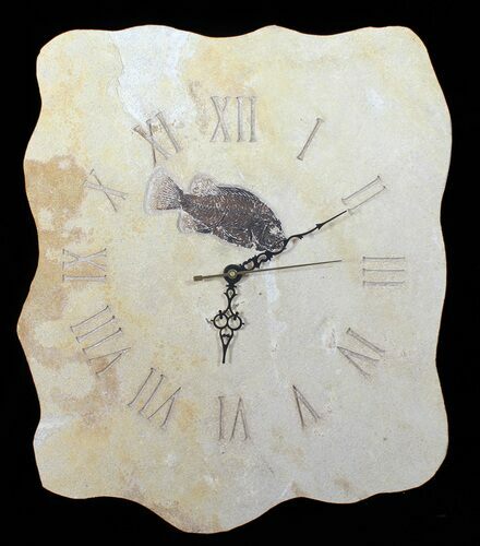 Tall Clock With Cockerellites Fish Fossil - Wyoming #50919